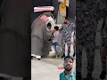 Masha Allah Motivation Makkahmadeenah Baby Meccamadina Religion Fashion Kid Music Arabic Masha Allah Motivation Makkahmadeenah Baby Meccamadina Religion Fashion Kid Music Arabic