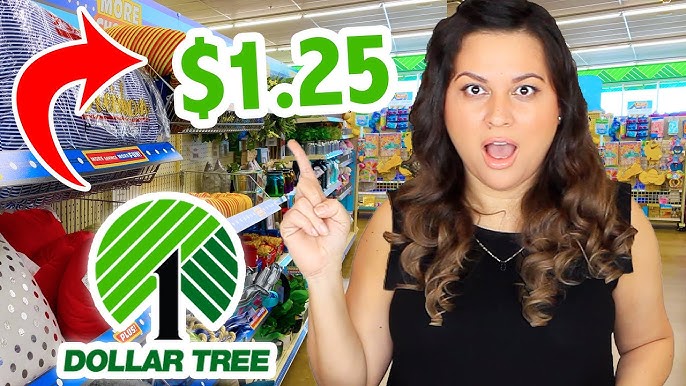 DOLLAR TREE VS. NAME BRAND CLEANING SUPPLIES 