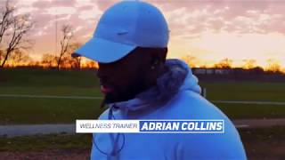 In My Own Words :  Adrian Collins