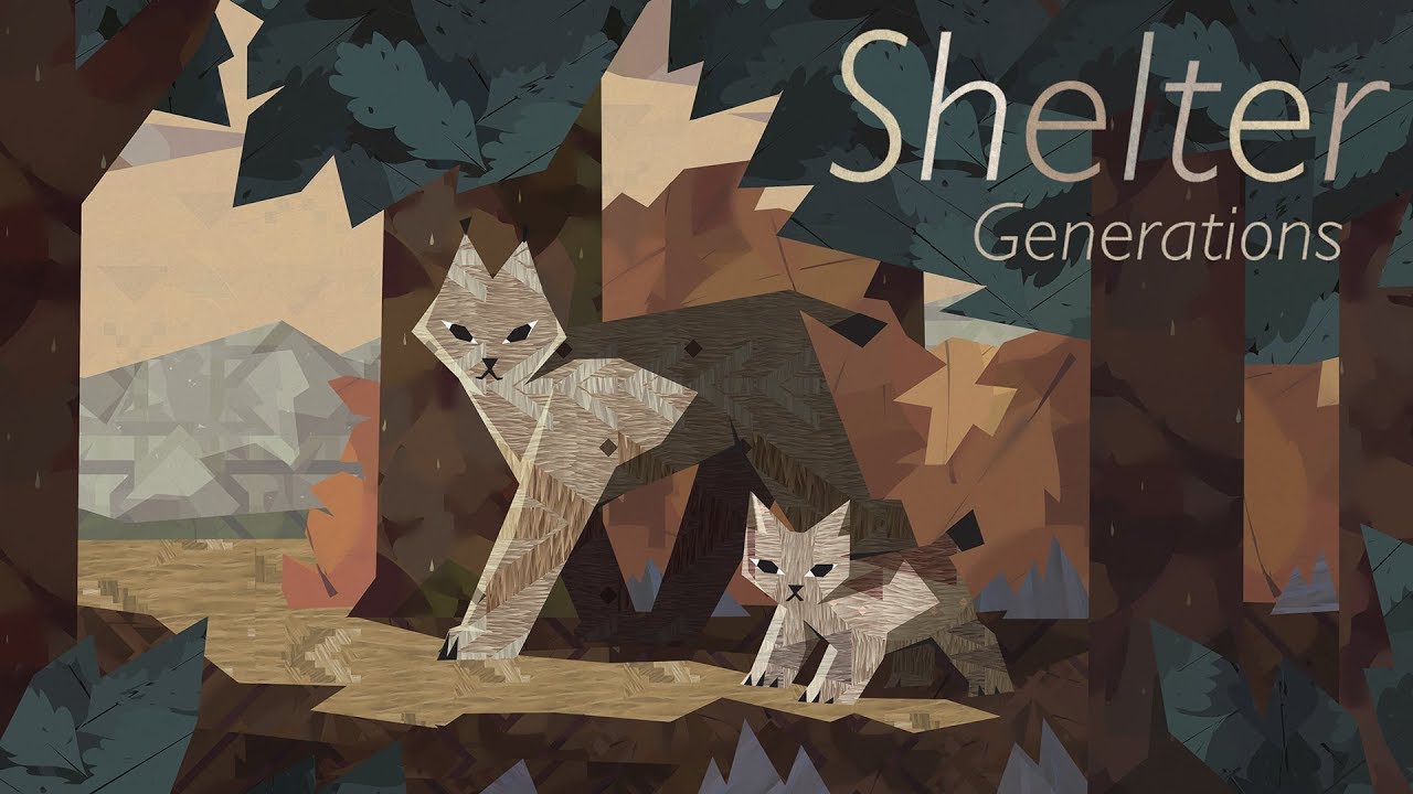 video Shelter Generations