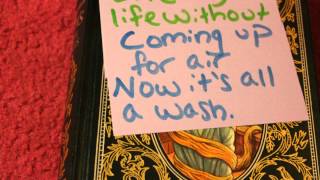 Anna Sun by Walk the Moon (Lyric Video)