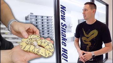 Crazy New Snake Facility! - 18 years of work doing what I love! Full Tour