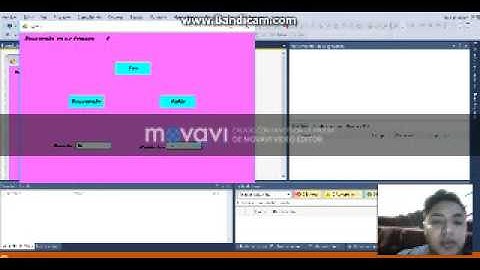 Procedimiento y funciones vb.net