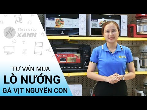Cách chọn mua lò nướng gà vịt nguyên con có thể bạn chưa biết • Điện máy XANH