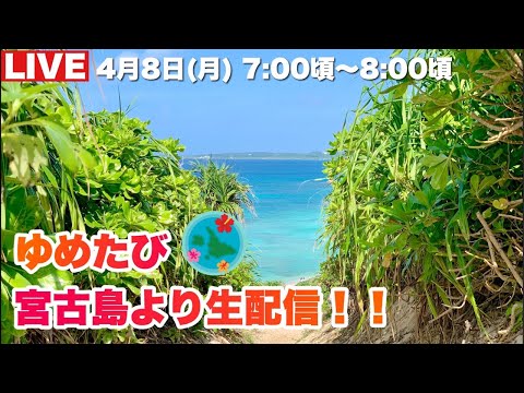 【宮古島より生配信】朝の島を散歩しましょう🌺2024.4.8