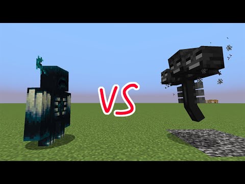 Warden VS Wither