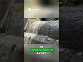 Rocinha Favela Uma Visão Real #foco #supermercado #habilidadescomportamentais