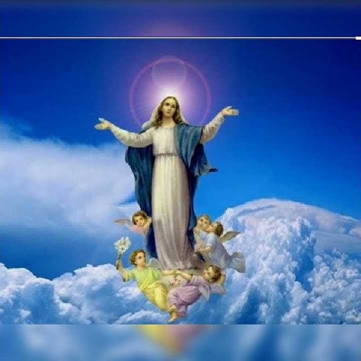 NADHE NI SAINAYA NIRAPOLA.. #WhatsApp status