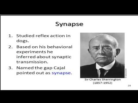History of Physiological Psychology