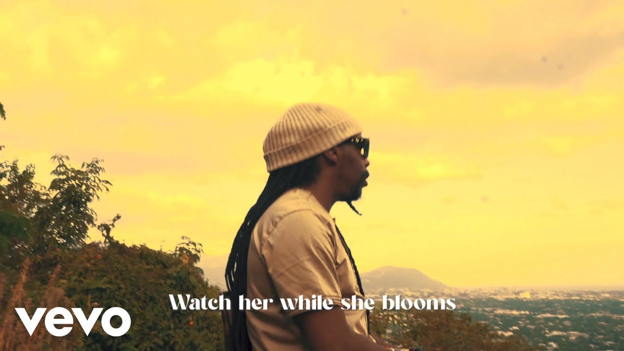 Watch Turbulence - Twin Flames (Visualizer) - No Better Riddim on YouTube Watch Turbulence - Twin Flames (Visualizer) - No Better Riddim on YouTube