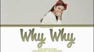 Shannon Williams (샤넌) - ‘Why Why (왜요 왜요)' Lyrics 가사 (Color Coded Han/Rom/Eng)