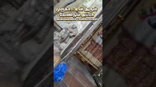 🔴🚩Lord Murugha – Divine Warrior   #lordmurugan  #devotionalshorts  #bakthimalai   #murugandarshan