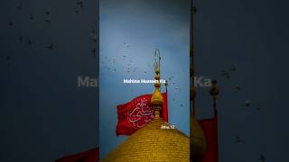 Nazdik Aa Raha Hai Mahina Hussain Ka | Lyrics Status | ibbu.12 | #hussain #shorts |