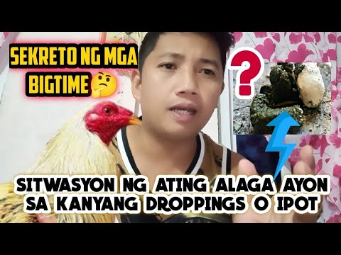 Pointing Tips PART 1 - YouTube