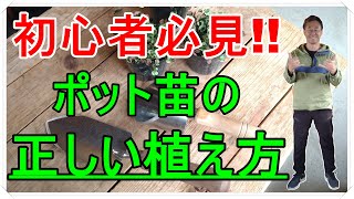 [ガーデニング] 初心者必見！ポット苗の正しい植え方「キャリア30年のプロガーデナーも実践するポット苗の植え方」