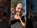 Biak Green Tree Python