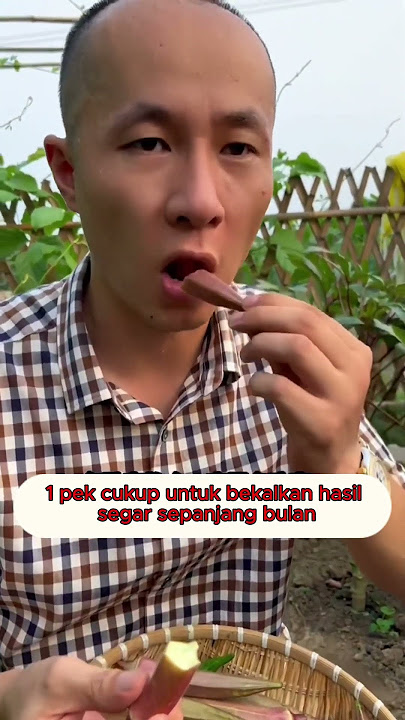 Saya tanam kat rumah je – lepas 2 minggu, anak pokok bendi dah naik subur!