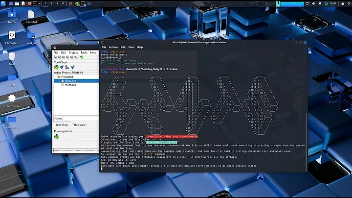Cracking idanhajbeko's 'babyFirstCrackme' with Ghidra | Step-by-Step Tutorial