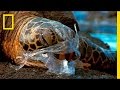 See How It Feels to Be an Ocean Animal Stuck in a Plastic Bag | National Geographic