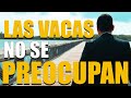 LAS VACAS NO SE PREOCUPAN-P. Mario Castañeda