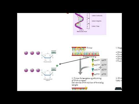 Video: Adskillelse Af Signalet Fra Støj Ved Metagenom Cellefri DNA-sekventering