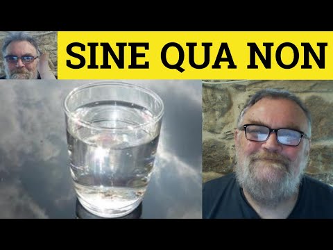 🔵 Sine Qua Non Meaning - Sine Qua Non Examples - Sine Qua Non Definition - لاتین به زبان انگلیسی رسمی