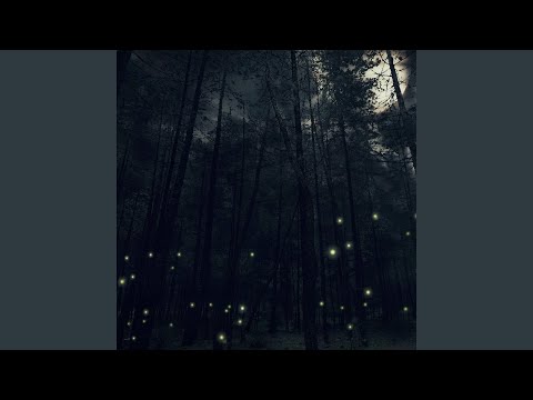 One Light Left