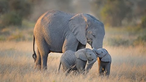 Implementando estrategias de backup para Postgres em Produção - Esquenta PGDay Natal 2023