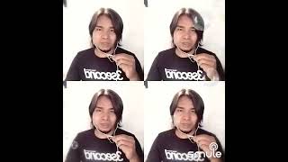 Download Lagu PILIHANE WONG TUA MP3