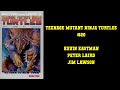 Teenage Mutant Ninja Turtles #20 - RETURN TO NEW YORK BOOK TWO