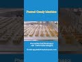 peanut  candy bar machine