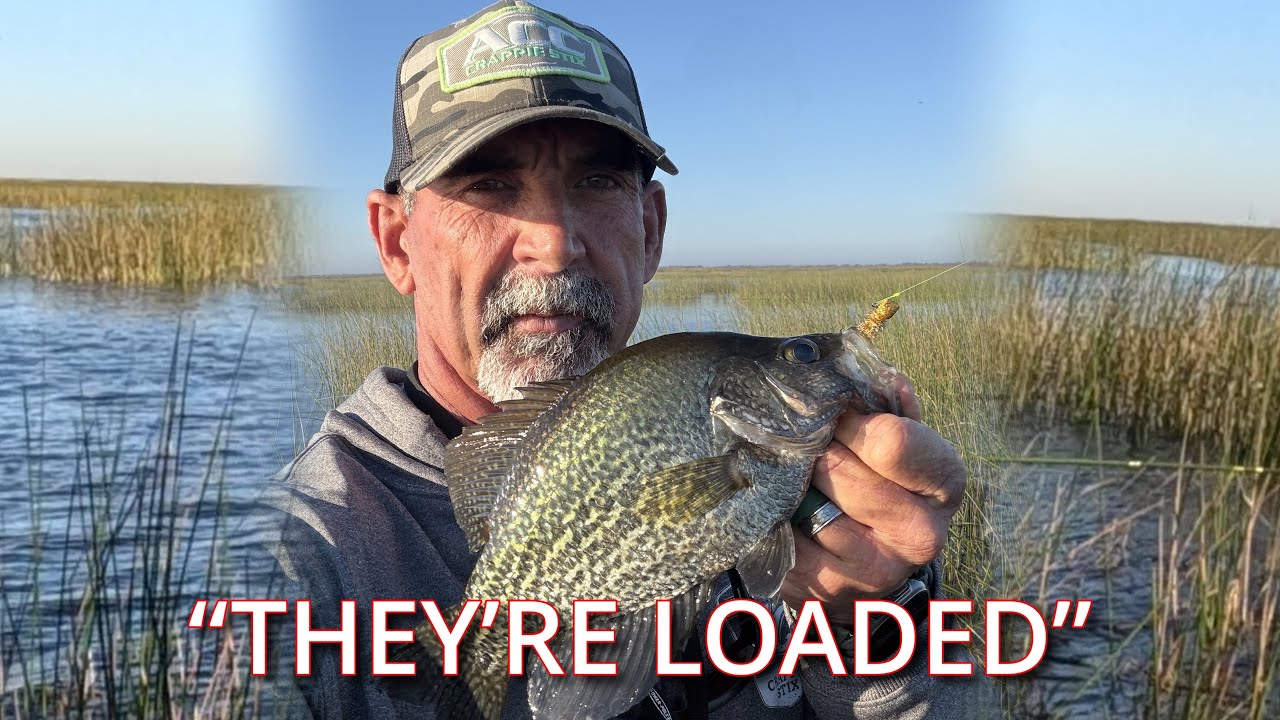 Холодно, ветрено, и они жевали | Рыбалка на окуня в Окичоби