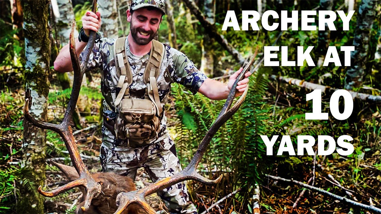 Can You Hunt ELK With NO EXPERIENCE? RECORD BOOK BULL YouTube