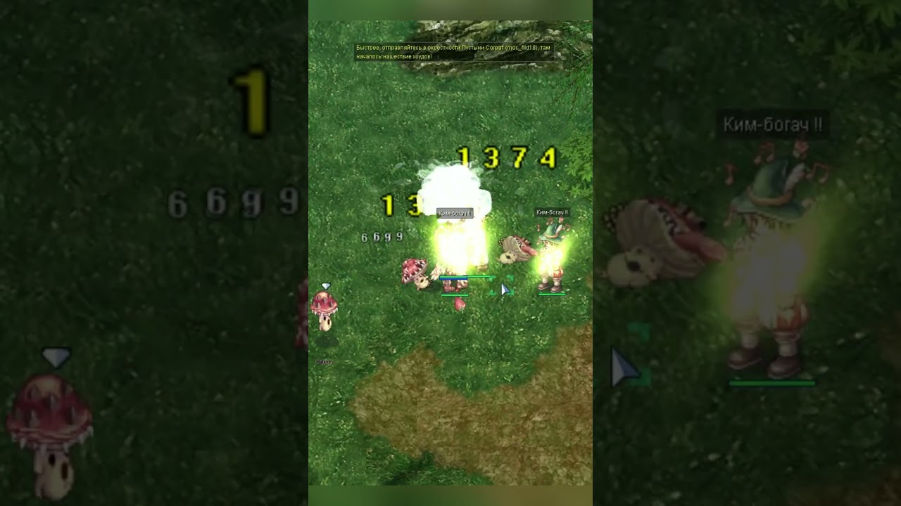 levelup  12-13 Leveling Ragnarok Online Prime [RU] | ROP 