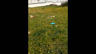 Denbej Celal Korkmaz Hozan Kazo Resimi