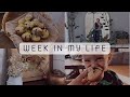 Sledding blueberry muffin recipe sourdough discard waffles thrifting and more  week in my life