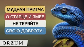 Есть над чем задуматься! Мудрая притча о Старце и Змее - Не теряйте свою доброту!