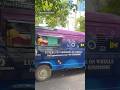 Pet grooming in wheels #petcare #shorts