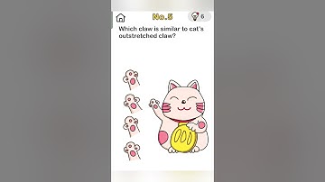 Brain out level 5 sollution