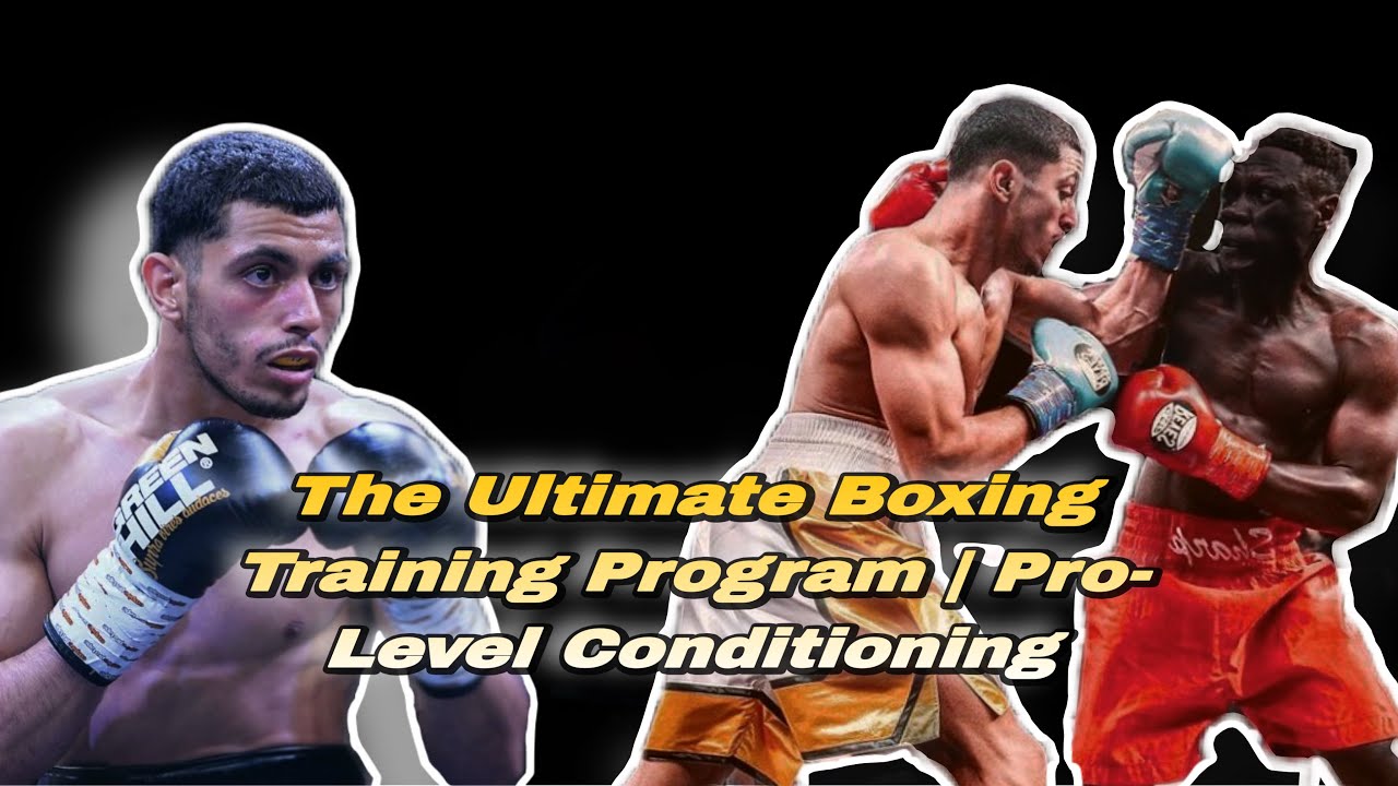 Train Like a Pro Boxer My Professional Boxing Training Program… - YouTube