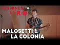 MALOSETTI & LA COLONIA | Sesiones en Red 🔴