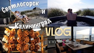 Калининград и Светлогорск | Nordic Spa и куда сходить | ВЛОГ