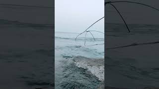 fishing🎣🎣🎣 please subscribe my channel#trending #viral #viralvideo #youtubeshorts #shorts #fishing
