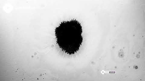 🎥 Abstract Ink Stock Video | Canon C100 4K Royalty free stock video footage