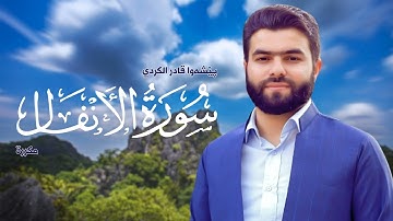 Surah al Anfal Peshawa Kurdi   سورة الأنفال مكررة القارئ بيشةوا قادر الکردي