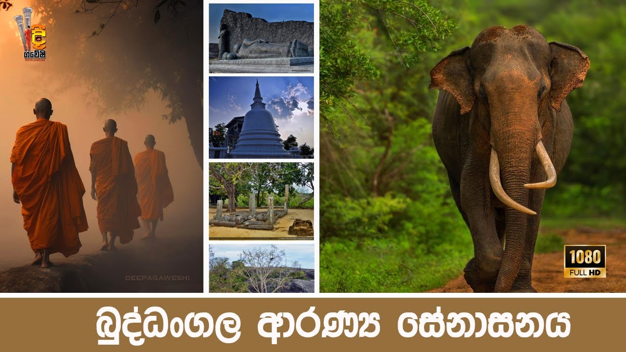 Buddangala | බුද්ධංගල | දීපගවේෂි | Deepa gaweshi episode 34 (2024-11-25 - 4K