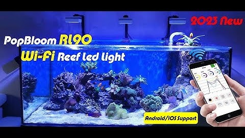 PopBloom RL90 WiFi LED Aquarium Reef Light (Connectivity & Use)