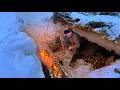 How to Save Yourself From the Cold in the Snowdrifts of the Wild Forest. Survival with One Axe.