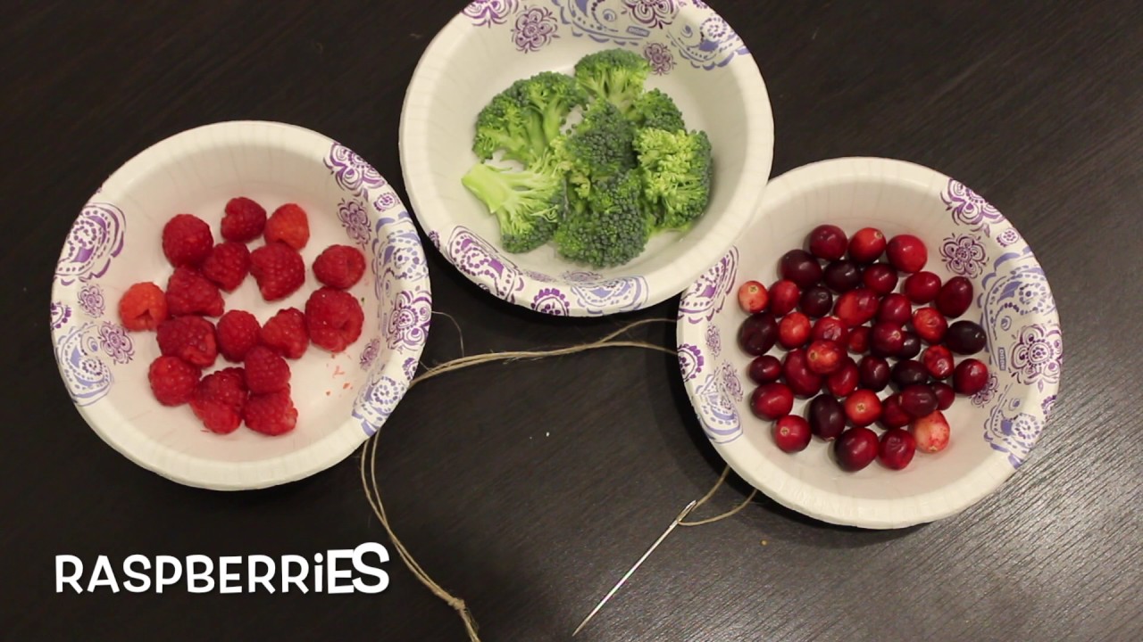 Bird Garland YouTube