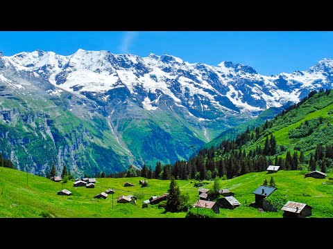 Видео: величественные мелодии природы🌲 Успокаивающая музыка снимает напряжение нервной системы, расслабляет